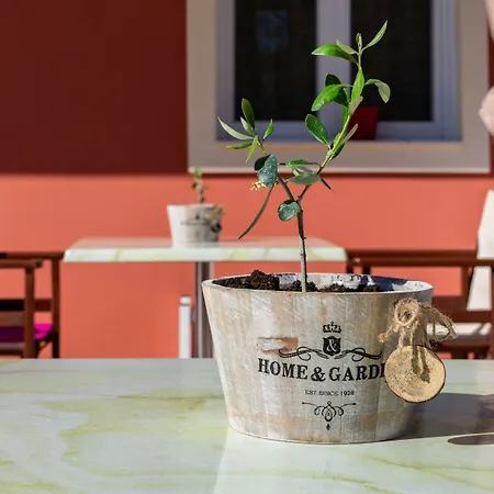 Hotel Zante Pantheon